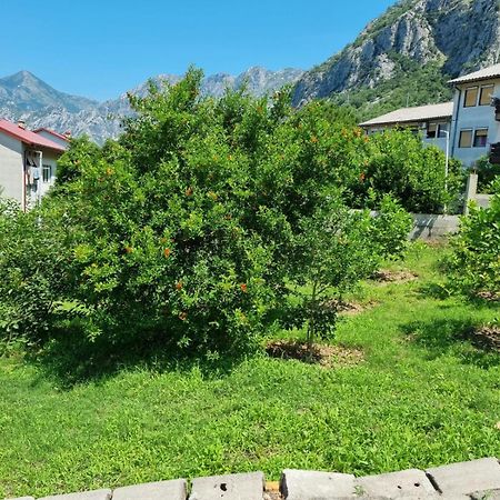 Apartments Luka Kotor Eksteriør bilde