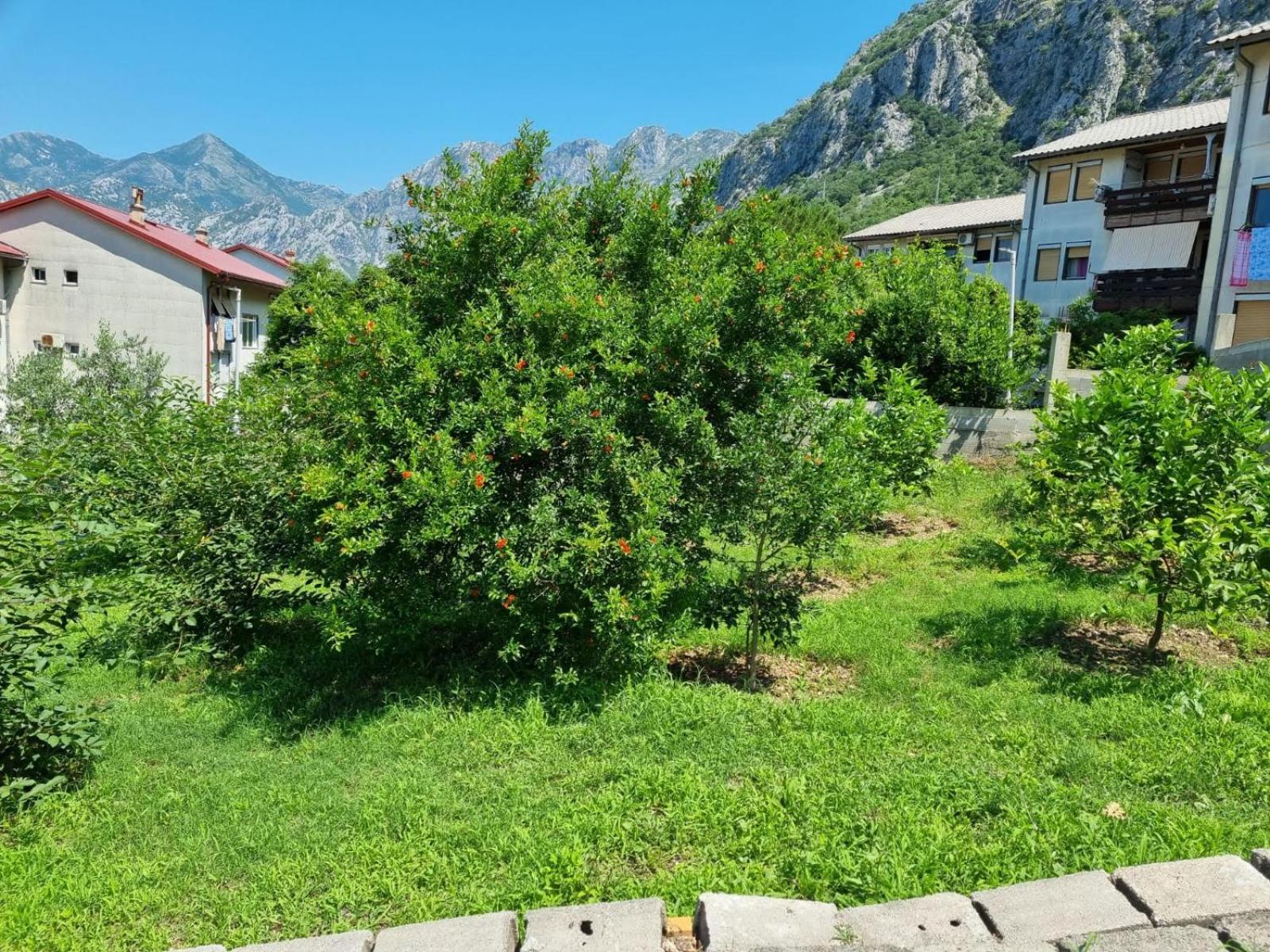 Apartments Luka Kotor Eksteriør bilde